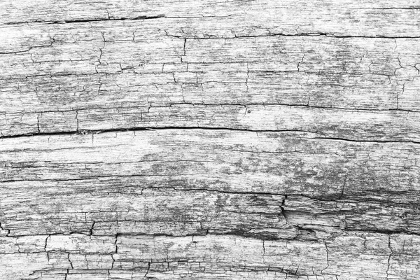 Schwarz und weiß Holz Textur Hintergrund — Stockfoto