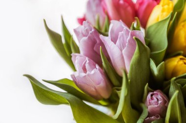 Bir buket pembe lale.