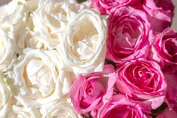 Ramo Rosas Rosadas —  Fotos de Stock