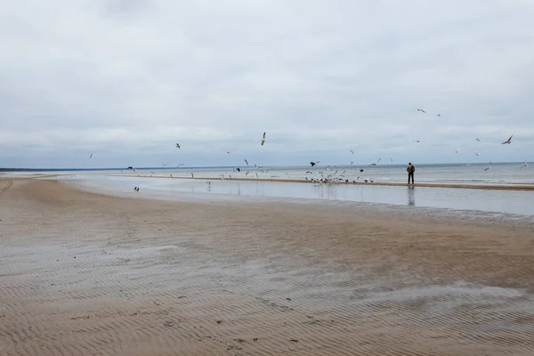 Jurmala sea shore in autumn
