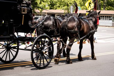 Geçit töreninde at arabası çizildi.