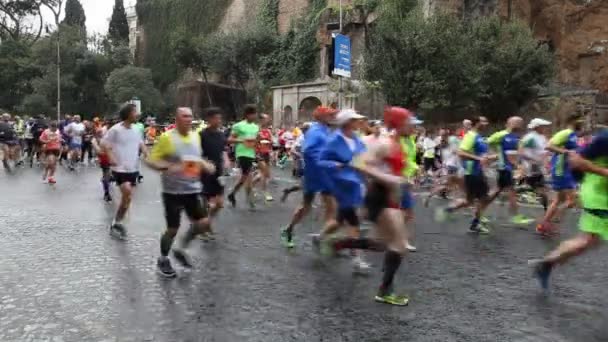Sportowcy biorący udział w maratonie Rzym — Wideo stockowe