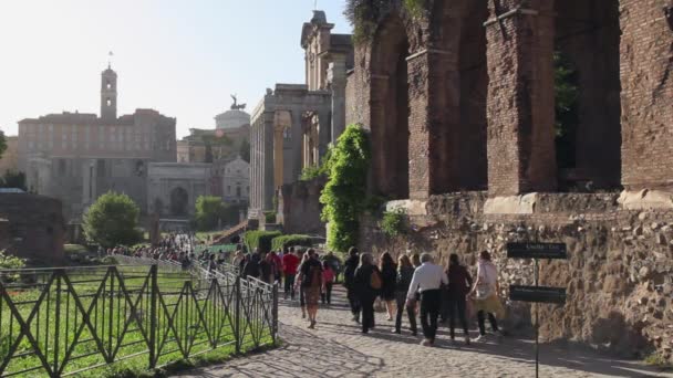 Palatina - Area Archeologica del Palatino, Roma — Video Stock