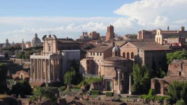Roman Forum, arkeolojik alanına