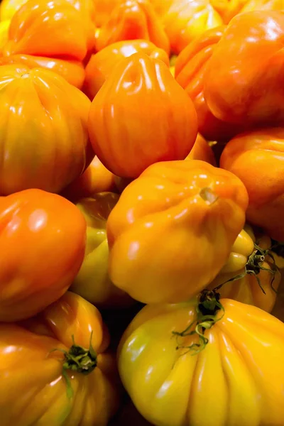 Oxar hjärtat tomater — Stockfoto