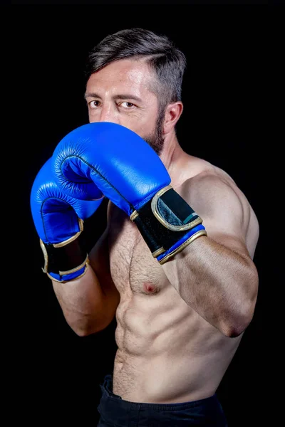 Boxer portrait, looks at the camera. — Stock Photo, Image