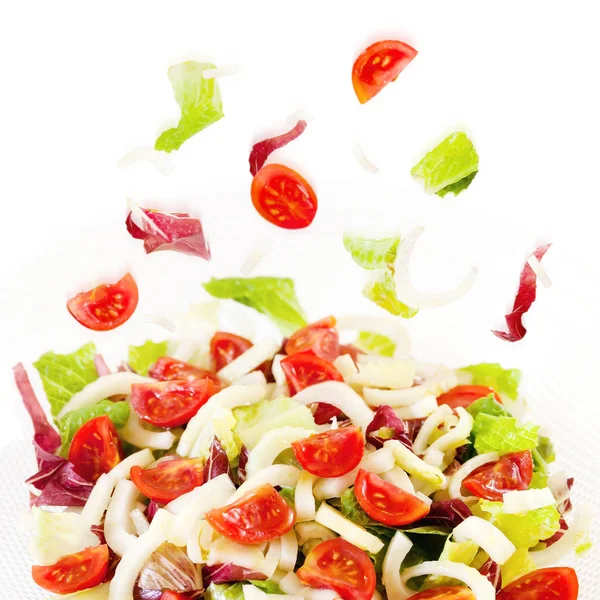 Gemischter Salat, Salat, Radicchio, Fenchel, Pachino-Tomaten — Stockfoto