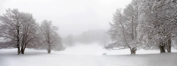 Inverno paisagem montanhosa, caminho e árvores cobertas de neve . — Fotografia de Stock