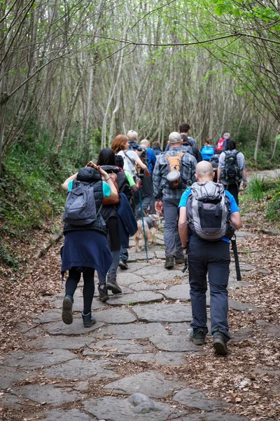 Grupo de caminhantes na floresta. Estrada romana antiga . — Fotografia de Stock