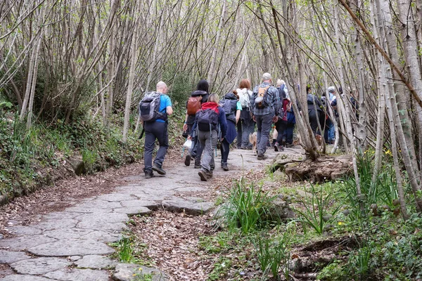 Grupo de excursionistas en el bosque. Antigua calzada romana . — Foto de Stock
