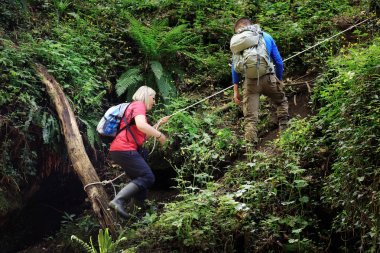 Bir orman yolu bir ip yardımı ile yürüyüşçü tırmanmak
