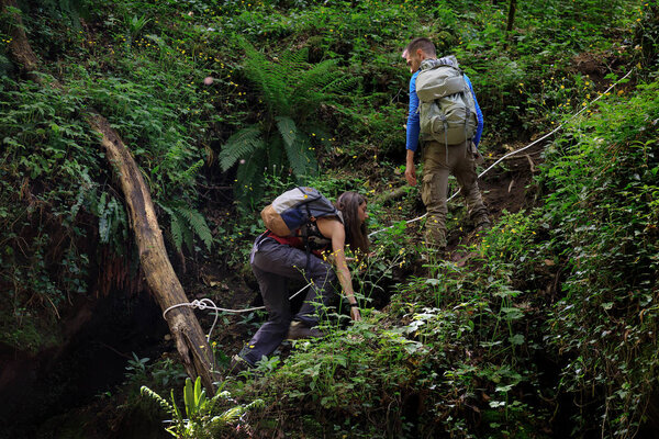 Hikers climb up a forest path with the help of a rope