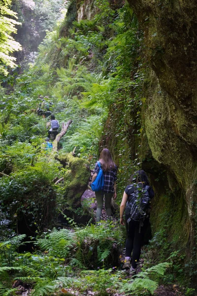 Caminhantes em desfiladeiro profundo com paredes verticais na floresta, rico em — Fotografia de Stock
