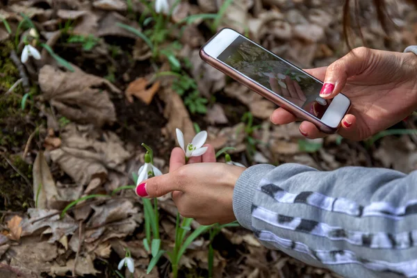 Gadis Memotret Bunga Snowdrop Hutan Dengan Ponselnya — Stok Foto