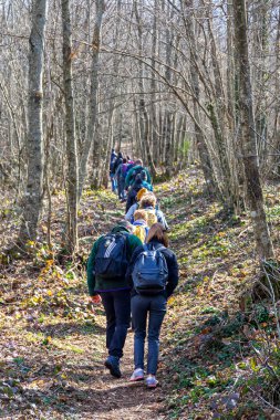 Rocca di Papa, İtalya - 29 Şubat 2020: Bir grup yürüyüşçü kayın ve kestane ağaçları arasında, ormanda bir sıra yürür.