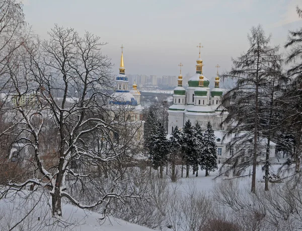 Vista Mosteiro Vydubitsky Jardim Botânico Kiev Janeiro 2017 — Fotografia de Stock