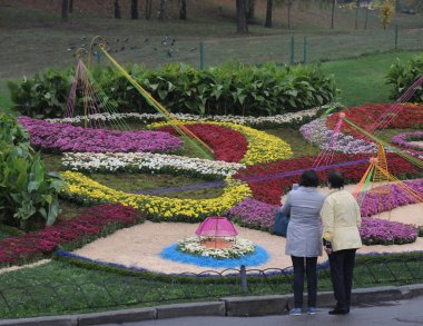 Şarkı Festivali gerekçesiyle Pechersk Peyzaj Park kasımpatı 