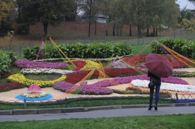 Şarkı Festivali gerekçesiyle Pechersk Peyzaj Park kasımpatı 