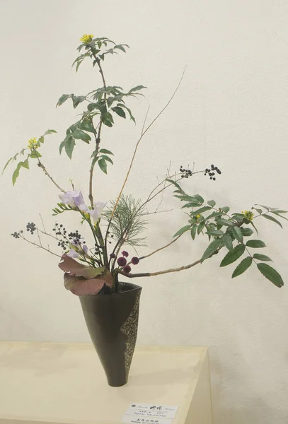 Exposição Ikebana Inverno Escola Ikenobo Kiev Dezembro 2019 — Fotografia de Stock