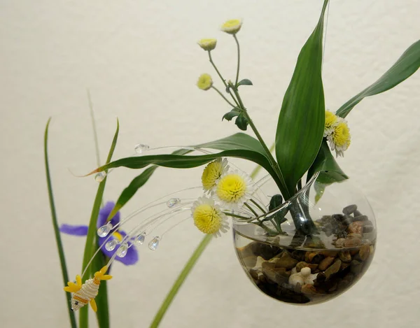 生け花は日本の伝統的な花の飾りです シンプルで繊細な構成 — ストック写真
