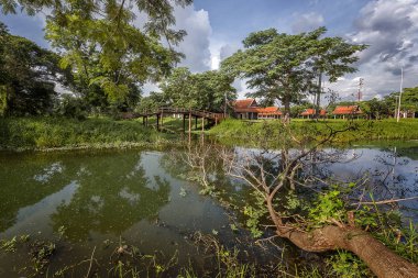 Ayutthaya tarihi Park Peyzaj.