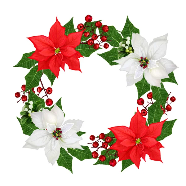 Christmas wreath, garland. Flowers poinsettia red, white, crimson berries, green leaves. Isolated on white background. — Stock fotografie