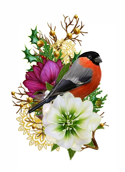 The bright red bird bullfinch, burgundy flower hellebore, weaving from twigs, gold ornaments, winter background, Christmas composition. Isolated on white background. — Stock Photo, Image