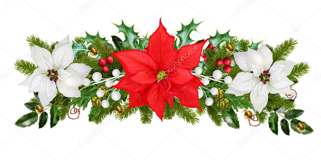 Christmas garland. Red, white poinsettia, berries, ornaments, glitter, green leaves, branches of spruce. Isolated on white background. New Year.