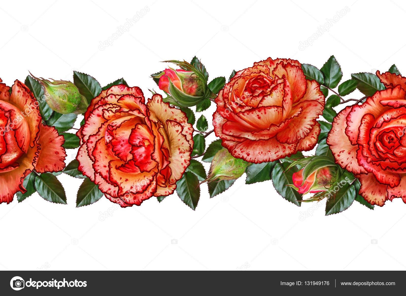 Bordure florale horizontale. Motif, sans couture. Guirlande de fleurs.  Belle rose orange vif, bourgeons, feuilles vertes. Isolé sur fond blanc . —  Illustration de stock par ©sokolova_ - 131949176, image size:1600x1167