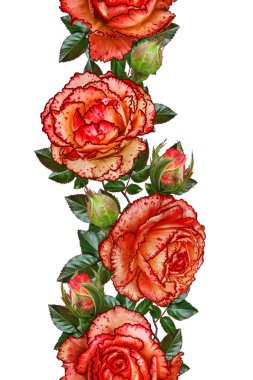 Dikey çiçek sınır. Desen, sorunsuz. Flower çelenk turuncu parlak güzel gül, yeşil yaprak. Altın dokuma, parlak süsler, karanlık kadife arka plan.