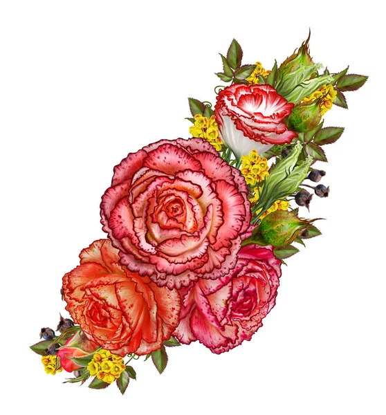 Composition des fleurs. La branche des roses. Belle rose orange dévoilée, bourgeons, feuilles. Isolé sur fond blanc . — Photo