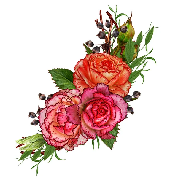 Composição da flor. O ramo das rosas. Bela laranja divulgada rosa, botões, folhas. Isolado sobre fundo branco . — Fotografia de Stock