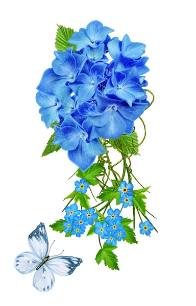 Blütenkomposition. blaue Hortensie schöne, leuchtende kleine Blüten, ein heller Schmetterling. isoliert auf weißem Hintergrund. — Stockfoto