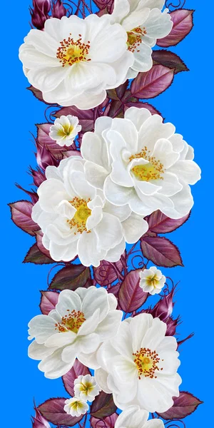 Frontera floral vertical. Patrón, sin costuras. Guirnalda de flores de rosas silvestres blancas . — Foto de Stock