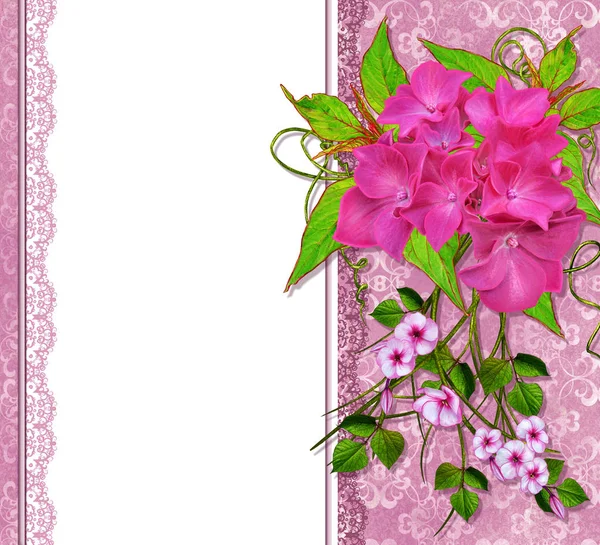 Παλιάς χρονολογίας, ευχετήρια κάρτα, πρόσκληση, παλιό στυλ. Ταξιανθία υποκατάστημα όμορφο ροζ λουλούδι Ορτανσία. — Φωτογραφία Αρχείου