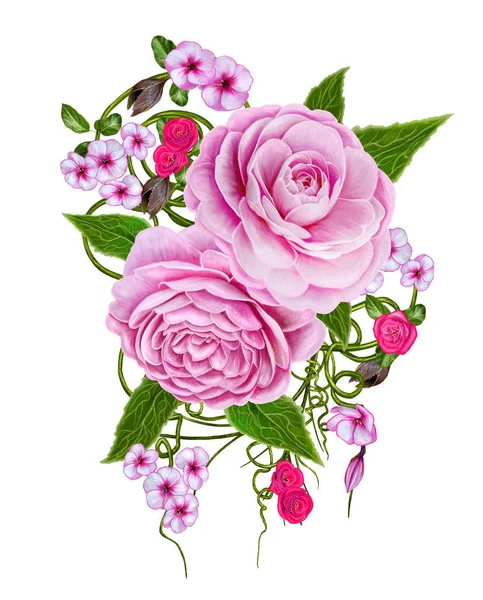 Composición floral. Ramo de rosa tierna, camelia —  Fotos de Stock