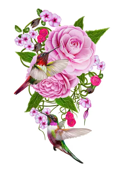 Blomma sammansättning. Bukett av anbud rosa ros, camellia, grenar, blad, små ljusa blommor, kolibrier fåglar i flykt. Isolerad på vit bakgrund. — Stockfoto