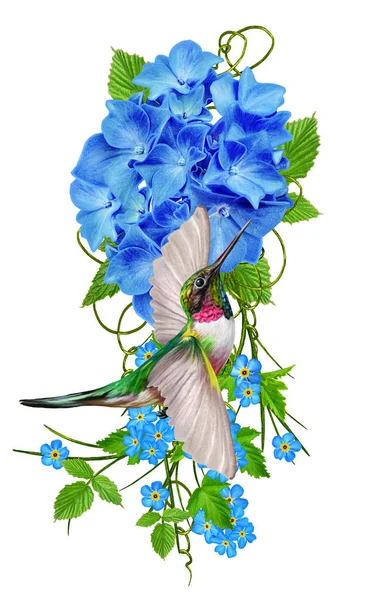 Flower composition. Isolated on white background. Small birds hummingbirds. The inflorescence is bright blue hydrangeas, green leaves, delicate flowers. — Stock Photo, Image