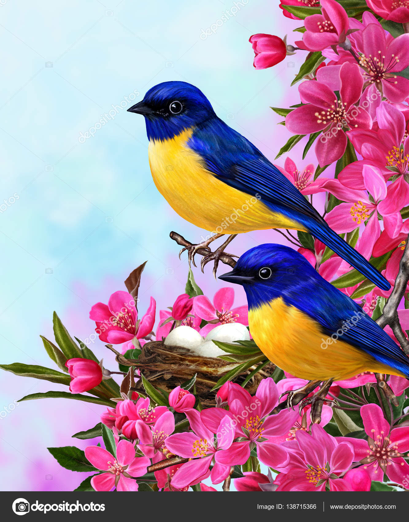 Two Bright Blue Birds Sitting On A Branch Of Apple Blossoms Red Stock