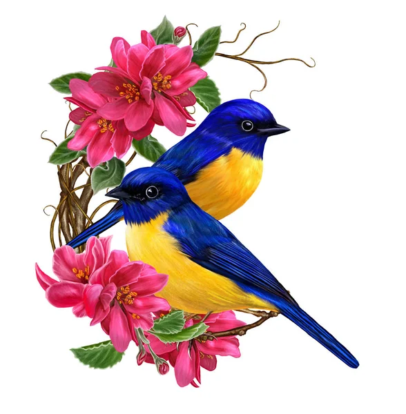 Two bright blue birds sitting on a branch of apple blossoms red. — Stock Photo, Image