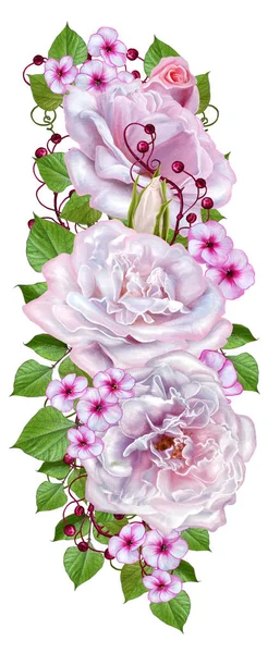 Fundo floral. Isolado em fundo branco. Buquê de rosas rosa macias, bagas vermelhas brilhantes, flores pequenas, cachos de folhas . — Fotografia de Stock
