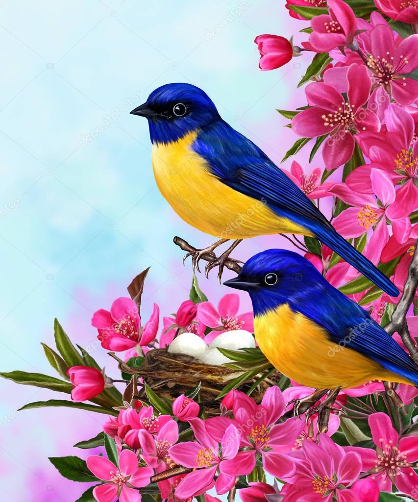 Arriba 18+ Foto ramas de arboles con pajaros Alta definición completa, 2k, 4k