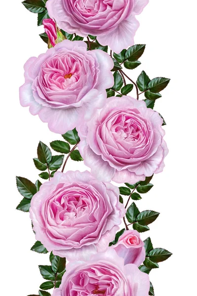 垂直方向の花の境界線。シームレス パターン。繊細なピンクのバラ、椿の花のガーランド。白い背景に分離. — ストック写真
