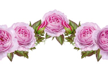 Yatay çiçek sınır. Desen, sorunsuz. Gül, kamelya ve hassas güzel çiçekler, yeşil yaprakları çiçek çelenk. Beyaz arka plan üzerinde izole.