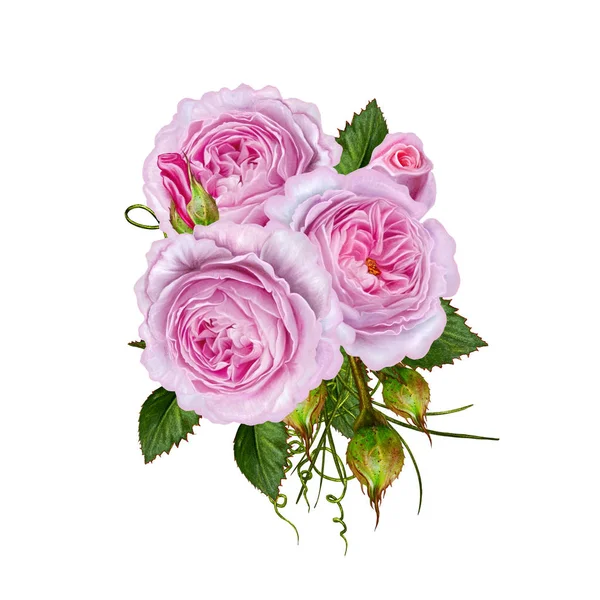 Fondo floral. Aislado sobre fondo blanco. Ramo de rosas rosadas tiernas. Composición floral . —  Fotos de Stock