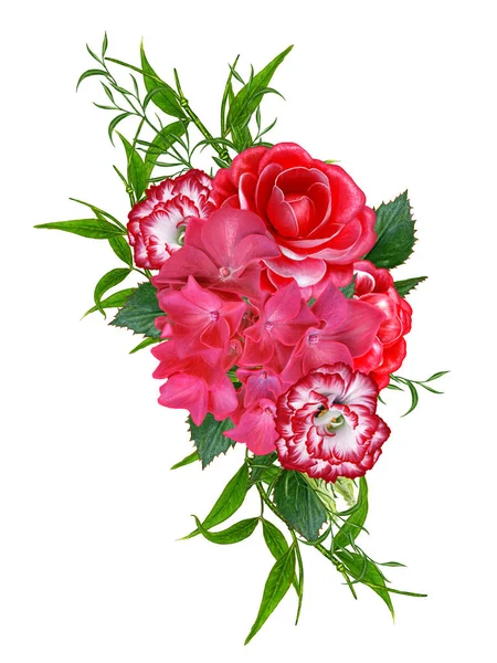 Květinové kompozice. Kytice červených růží fialové, světlé krásné květiny, tmavě červené listy a větvemi. Izolované na bílém pozadí. — Stock fotografie