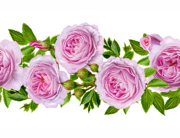 Krawędź pozioma kwiatowy. Wzór, bez szwu. Girlanda kwiatów róż, camellia i delikatne kwiaty piękne, zielone liście. Ornament z mozaiką. — Zdjęcie stockowe