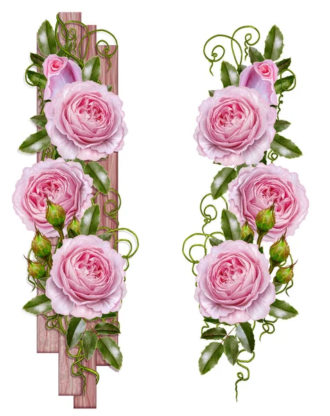 Florale achtergrond in pastel roze Toon. Garland van tedere rozen, decoratieve houten plank. Oude stijl, geïsoleerd op witte achtergrond. — Stockfoto