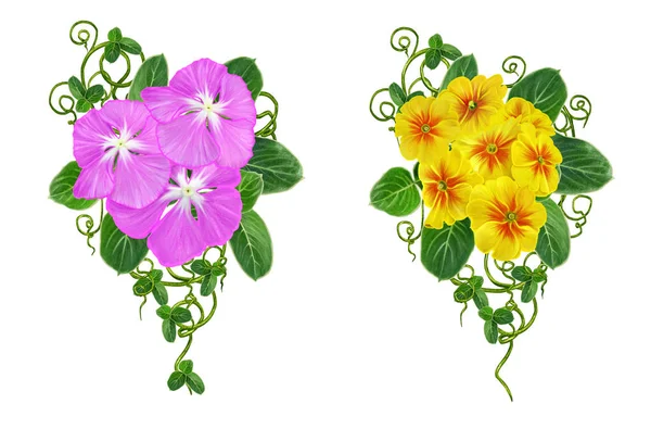 Blumenschmuck, Girlanden. Bukett aus leuchtend rosa und gelben Primeln, grünen Blättern, zarten Ästen. isoliert auf weißem Hintergrund. — Stockfoto