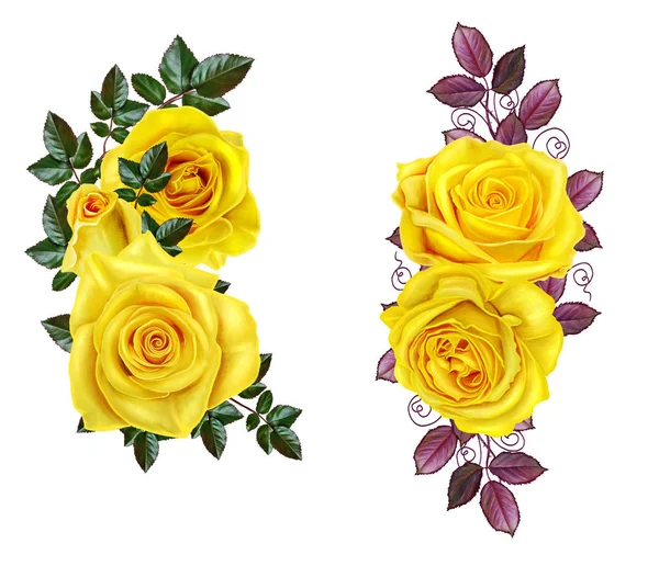 Samenstelling van de bloem. Mooi boeket van gele rozen, groene bladeren, knoppen. Geïsoleerd op witte achtergrond. — Stockfoto